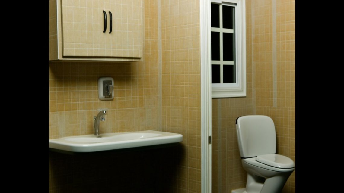 Pourquoi éviter de toucher le siège des WC lorsqu’on va aux toilettes ?